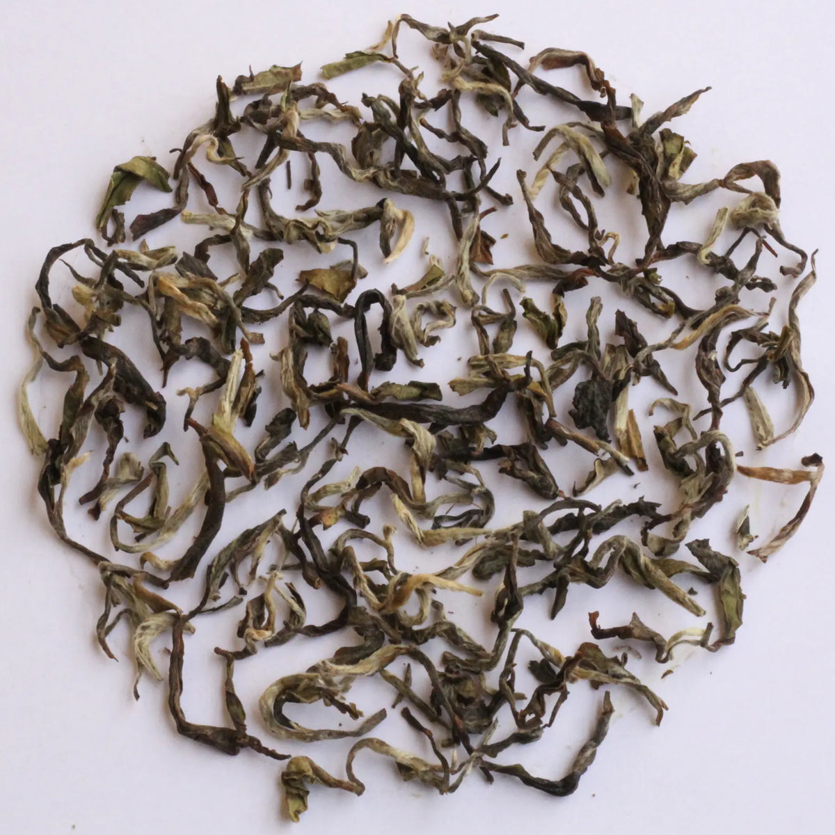 Loose-leaf tea leaves, characterized by their curly, twisted shapes and mix of dark green, olive, and light yellowish-green tones, arranged in a circular pile on a plain white background.